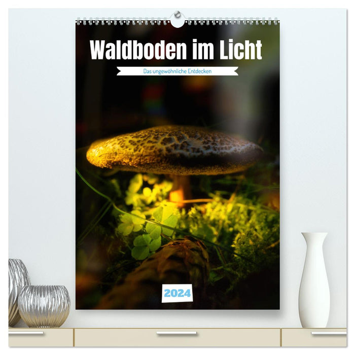 Waldboden im Licht (CALVENDO Premium Wandkalender 2024)