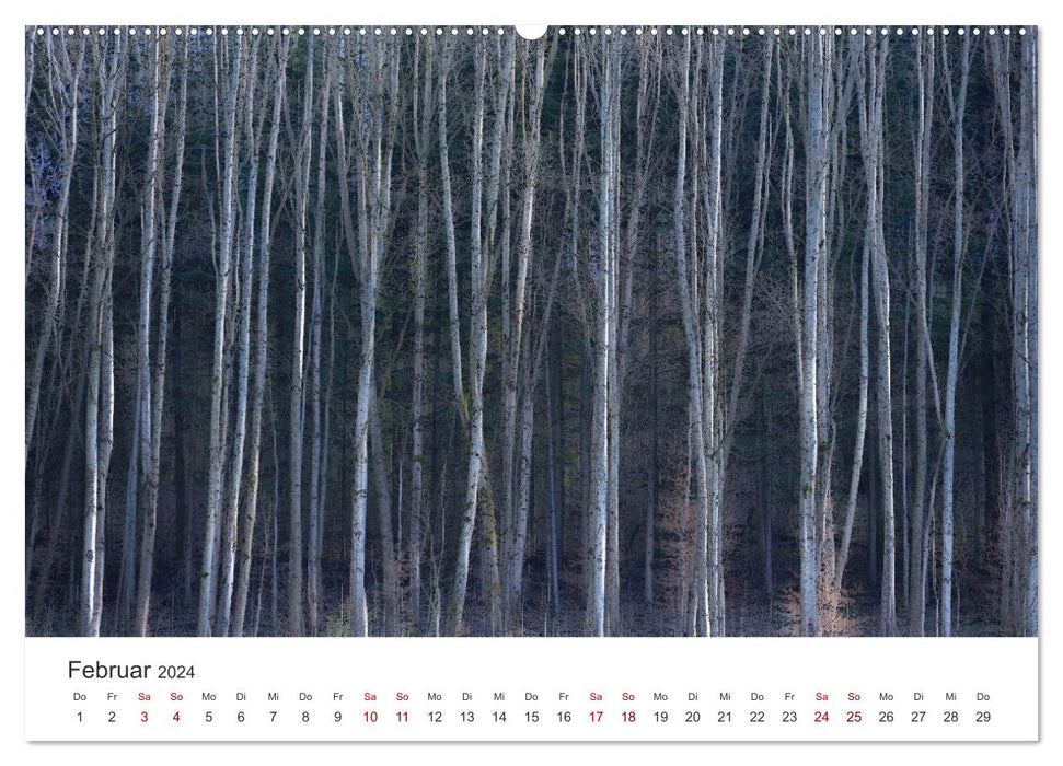 Bäume - Gelebtes Leben (CALVENDO Wandkalender 2024)
