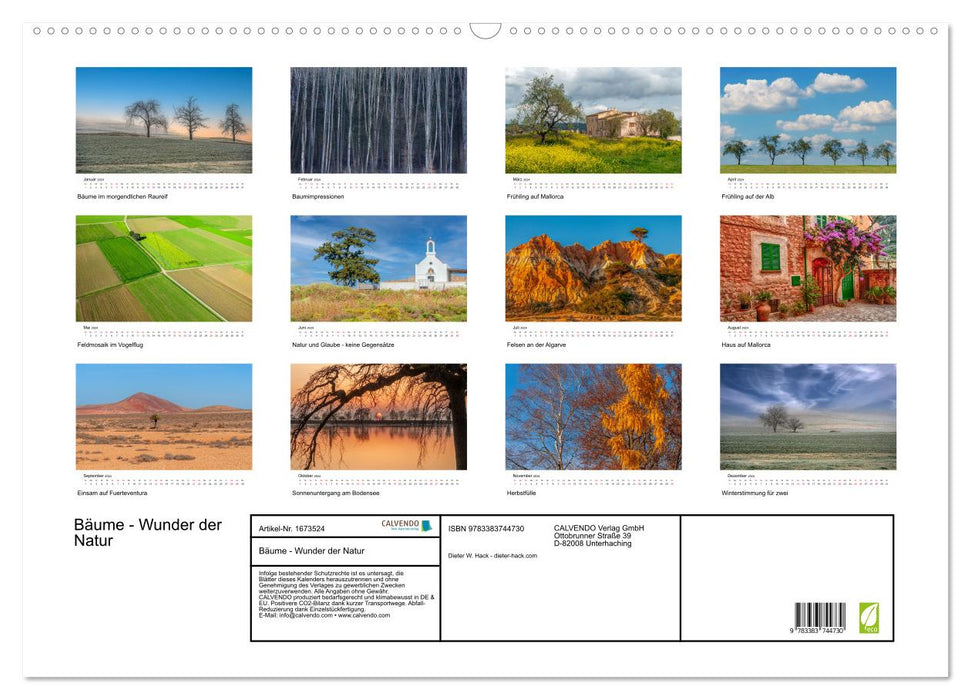 Bäume - Wunder der Natur (CALVENDO Wandkalender 2024)