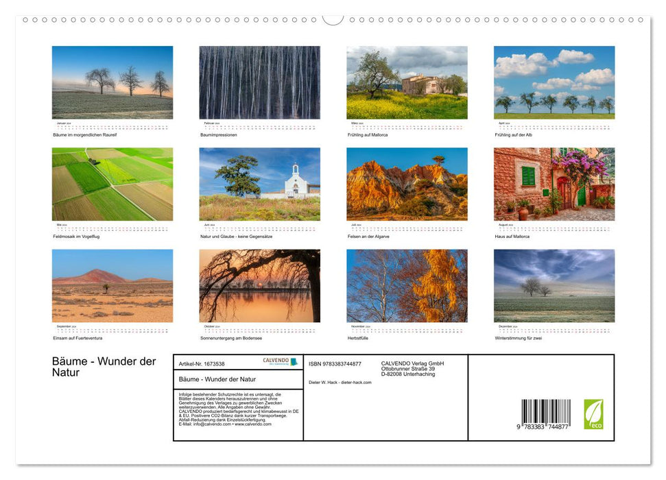 Bäume - Wunder der Natur (CALVENDO Premium Wandkalender 2024)
