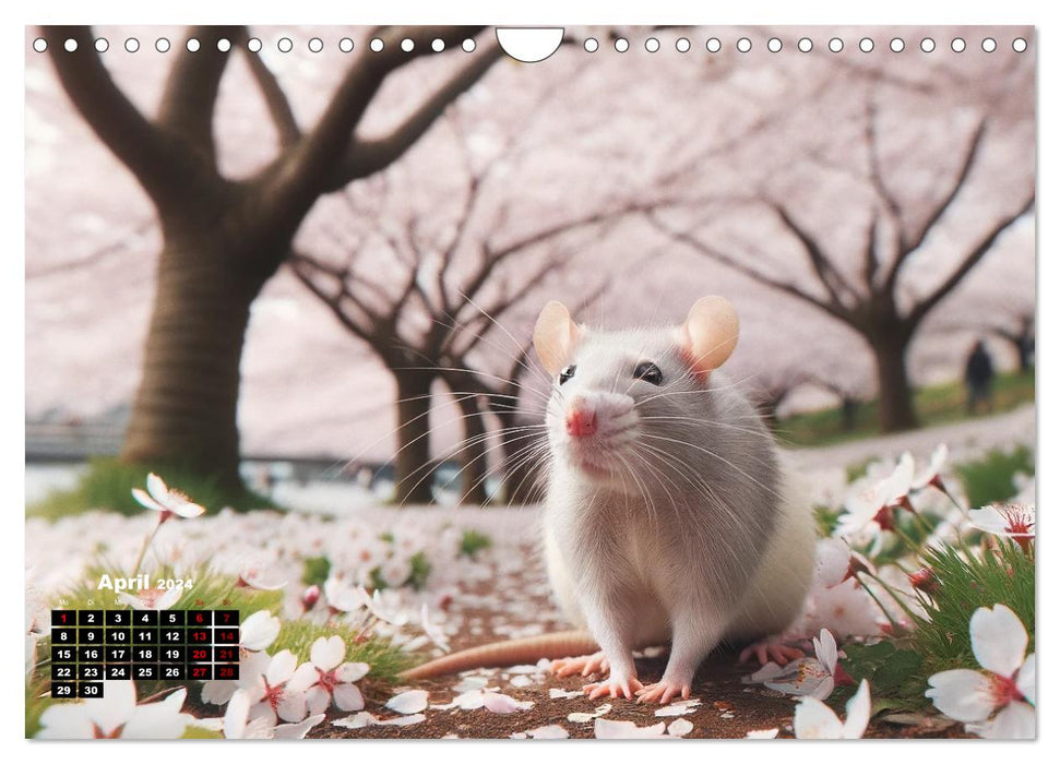 Lustige Ratten (CALVENDO Wandkalender 2024)