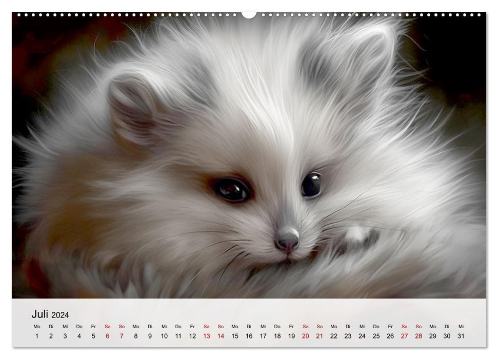 Zauberhafte Fluffies (CALVENDO Premium Wandkalender 2024)
