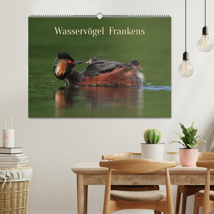 Wasservögel Frankens (CALVENDO Wandkalender 2024)