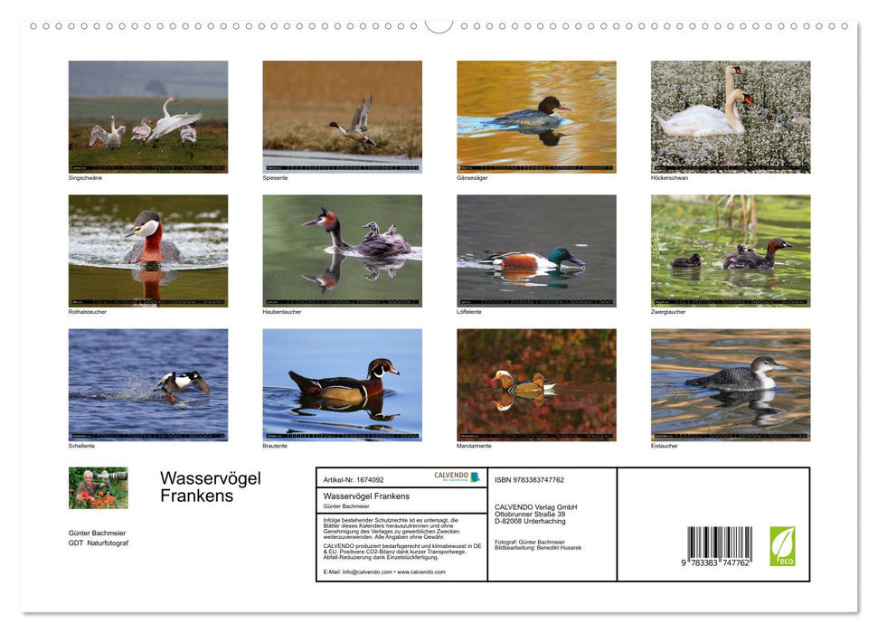 Wasservögel Frankens (CALVENDO Premium Wandkalender 2024)
