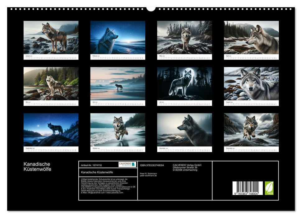 Kanadische Küstenwölfe (CALVENDO Premium Wandkalender 2024)