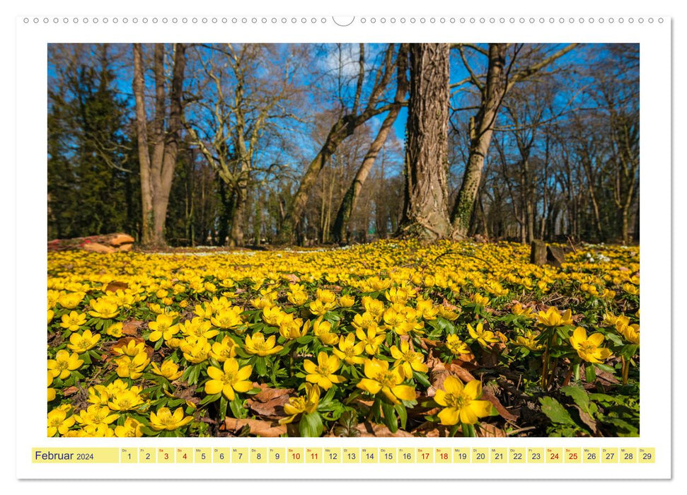 Sachsen-Anhalt's schöne Landschaften (CALVENDO Premium Wandkalender 2024)