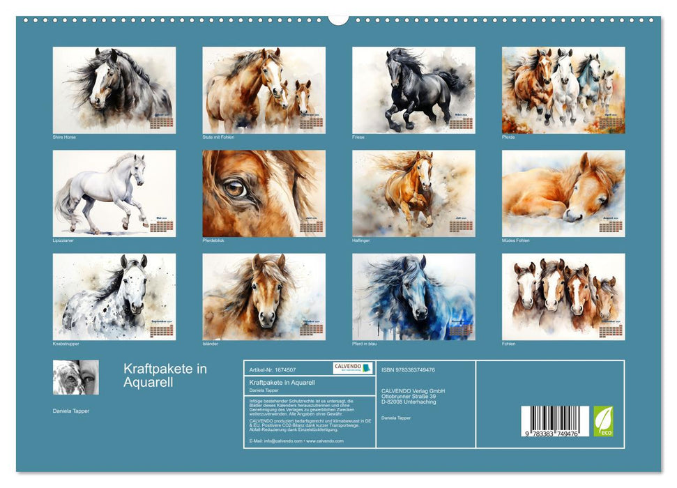Kraftpakete in Aquarell (CALVENDO Premium Wandkalender 2024)