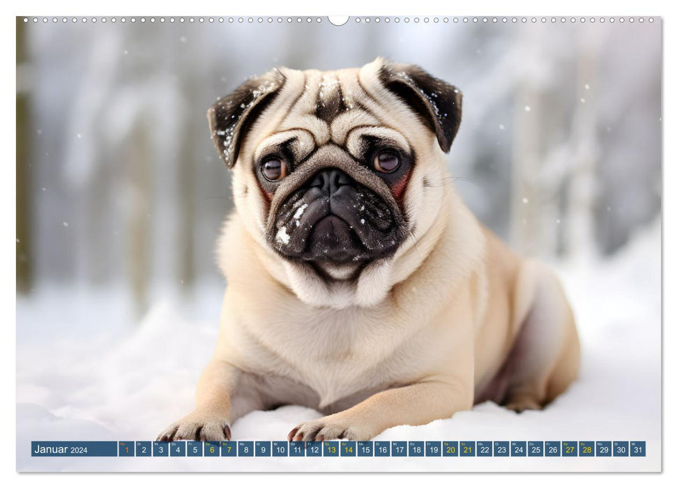 Lustige Mops-Hunde: Die charmanten Meister von Chaos und Unfug (CALVENDO Premium Wandkalender 2024)