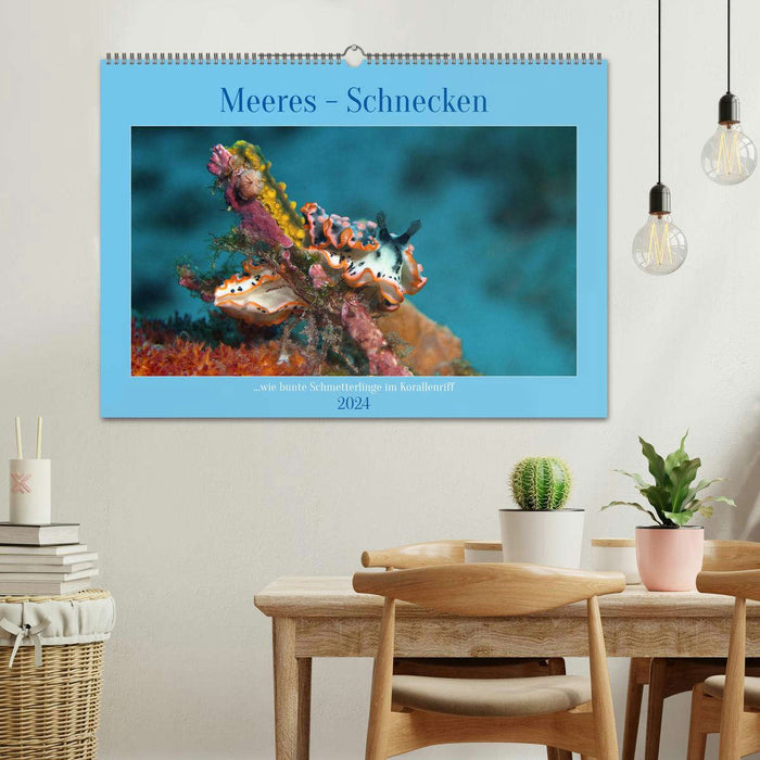 Meeres-Schnecken (CALVENDO Wandkalender 2024)