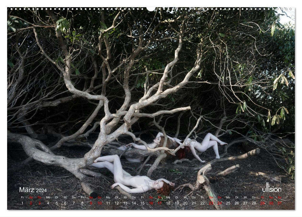 Poesie der Stille – Akt in der Natur (CALVENDO Wandkalender 2024)