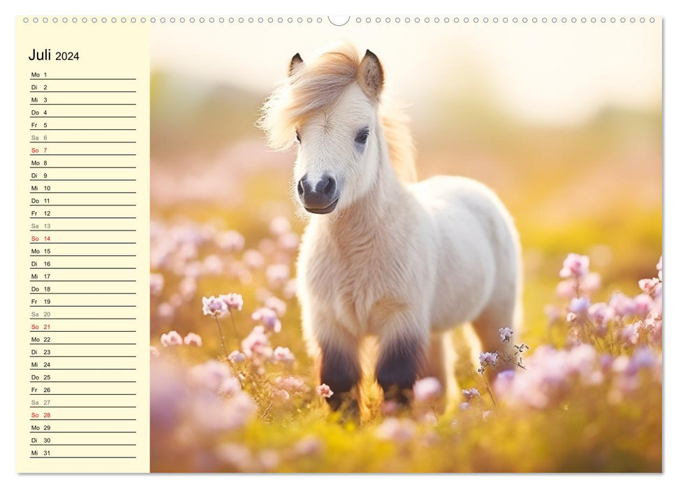 Kleine Pferde. Mini-Ponys zum verlieben (CALVENDO Premium Wandkalender 2024)
