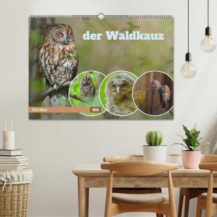 der Waldkauz - Strix Aluco (CALVENDO Wandkalender 2024)