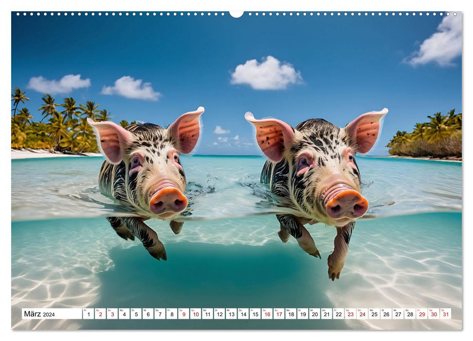 Schwimmende Schweine im Paradies (CALVENDO Premium Wandkalender 2024)