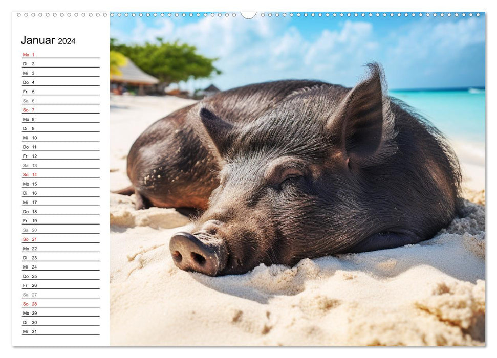Schweinereien in der Karibik. Sonne und Spaß mit schwimmenden Schweinen (CALVENDO Premium Wandkalender 2024)