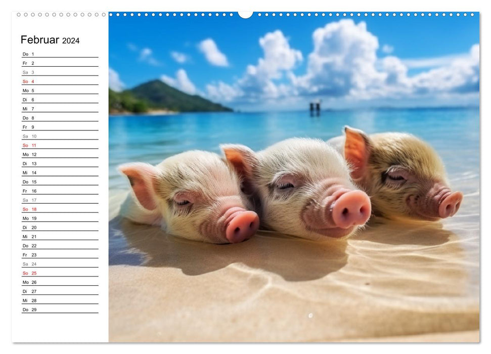 Schweinereien in der Karibik. Sonne und Spaß mit schwimmenden Schweinen (CALVENDO Premium Wandkalender 2024)