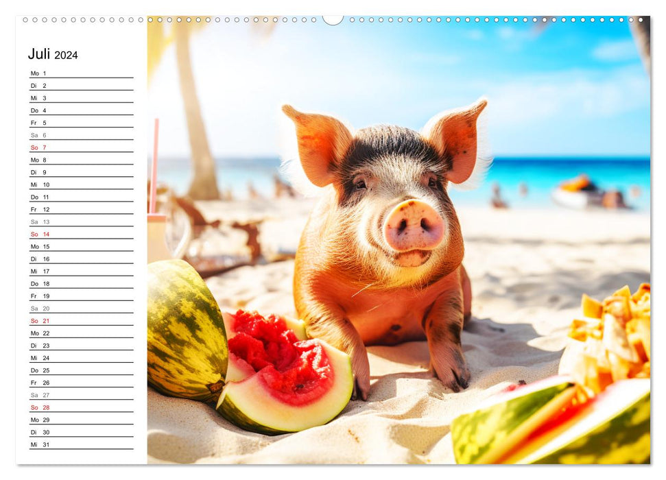 Désordre dans les Caraïbes. Soleil et plaisir avec les cochons nageurs (Calendrier mural CALVENDO Premium 2024) 