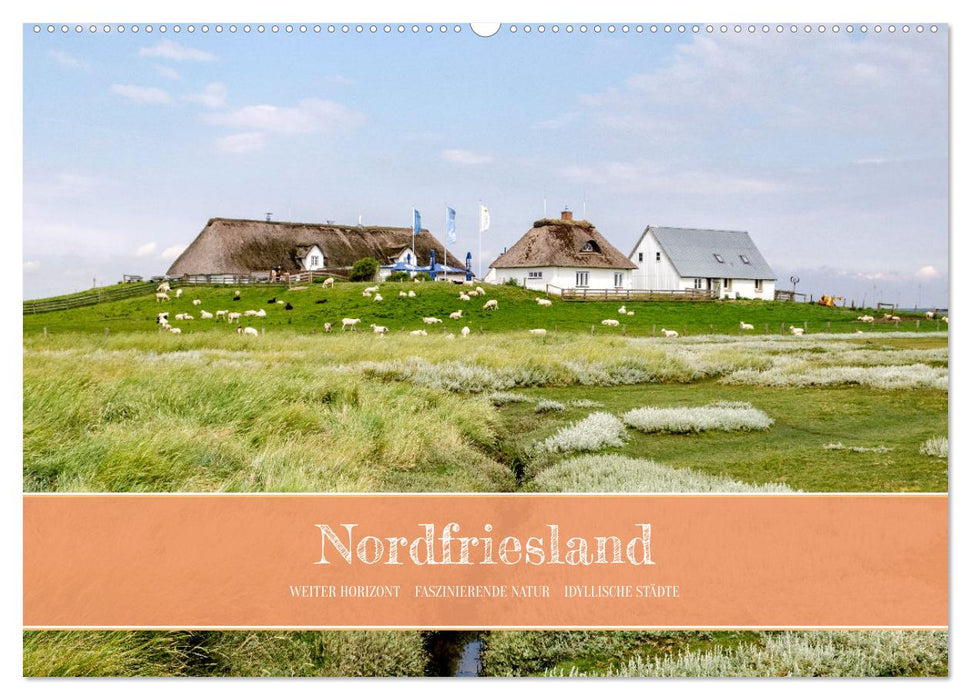 Nordfriesland - weiter Horizont, faszinierende Natur, idyllische Städte (CALVENDO Wandkalender 2025)