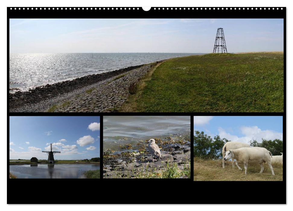 Texel, eine Perle Hollands (CALVENDO Premium Wandkalender 2025)
