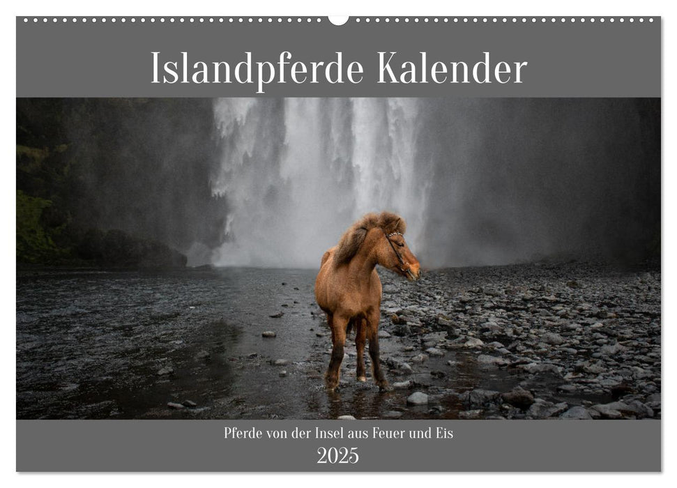 Islandpferde Kalender - Pferde von der Insel aus Feuer und Eis (CALVENDO Wandkalender 2025)