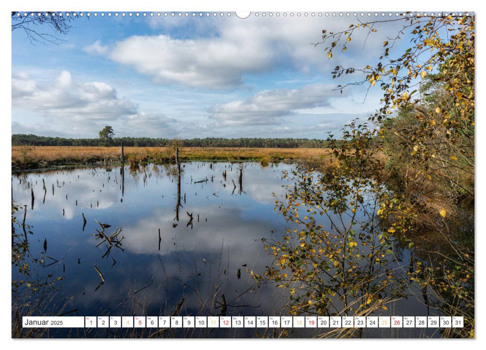 Herbsttage im Pietzmoor - Lüneburger Heide (CALVENDO Premium Wandkalender 2025)