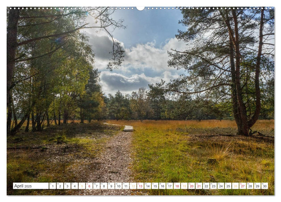 Herbsttage im Pietzmoor - Lüneburger Heide (CALVENDO Premium Wandkalender 2025)