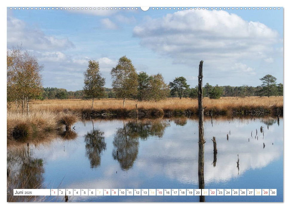 Herbsttage im Pietzmoor - Lüneburger Heide (CALVENDO Premium Wandkalender 2025)