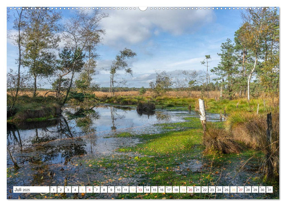 Herbsttage im Pietzmoor - Lüneburger Heide (CALVENDO Premium Wandkalender 2025)