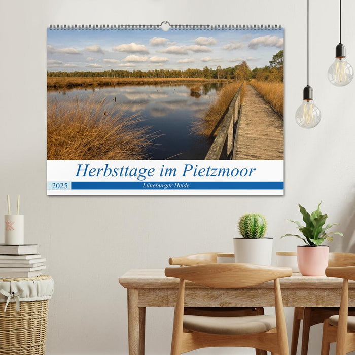 Herbsttage im Pietzmoor - Lüneburger Heide (CALVENDO Wandkalender 2025)