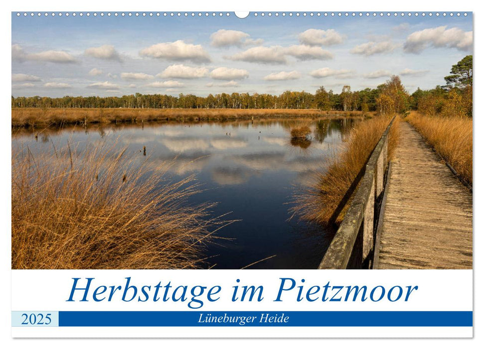 Herbsttage im Pietzmoor - Lüneburger Heide (CALVENDO Wandkalender 2025)