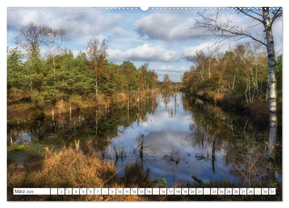 Herbsttage im Pietzmoor - Lüneburger Heide (CALVENDO Wandkalender 2025)