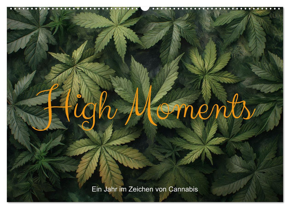 High Moments - Ein Jahr im Zeichen von Cannabis (CALVENDO Wandkalender 2025)