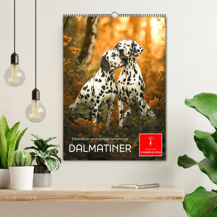 Dalmatiner - freundlich und temperamentvoll (CALVENDO Wandkalender 2025)