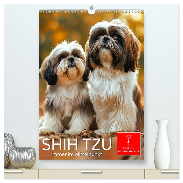 Shih Tzu - immer im Mittelpunkt (CALVENDO Premium Wandkalender 2025)