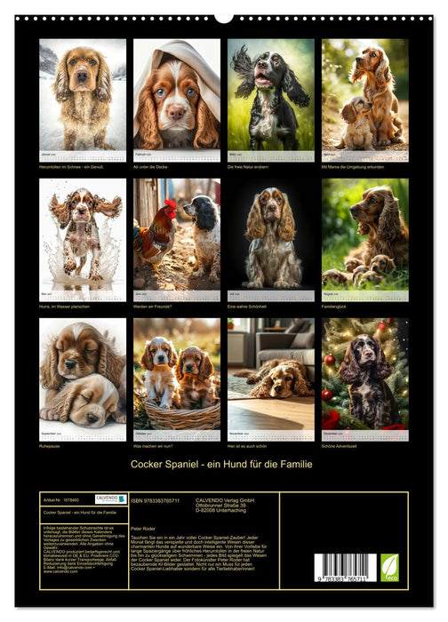 Cocker Spaniel - ein Hund für die Familie (CALVENDO Premium Wandkalender 2025)