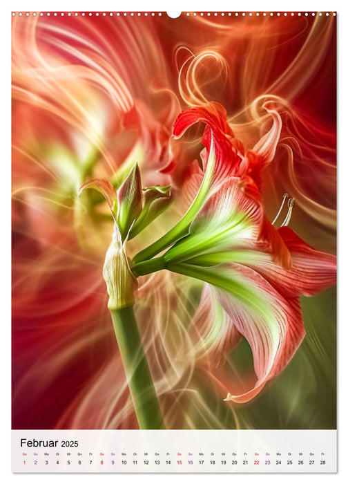 Explosion de couleurs en forme de fleur (Calendrier mural CALVENDO Premium 2025) 