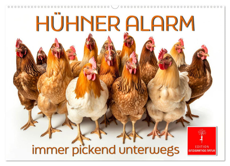Hühner Alarm (CALVENDO Wandkalender 2025)