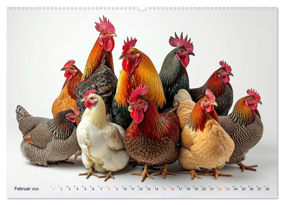 Hühner Alarm (CALVENDO Premium Wandkalender 2025)