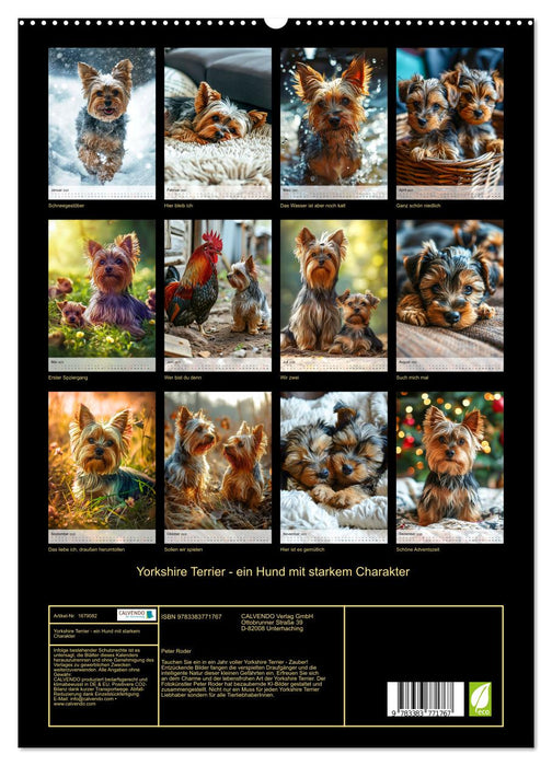 Yorkshire Terrier - ein Hund mit starkem Charakter (CALVENDO Premium Wandkalender 2025)
