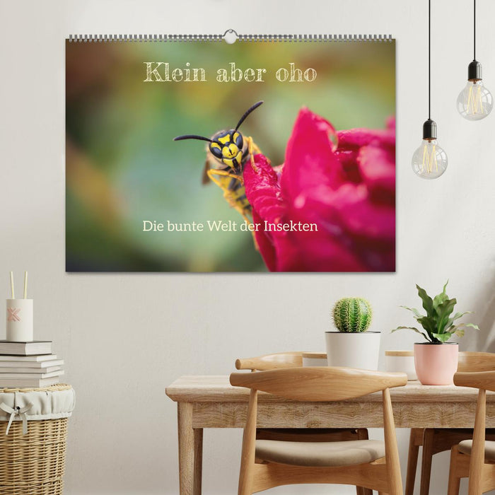 Klein aber oho. Die bunte Welt der Insekten (CALVENDO Wandkalender 2025)