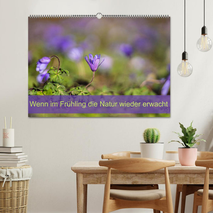 Wenn im Frühling die Natur wieder erwacht (CALVENDO Wandkalender 2025)