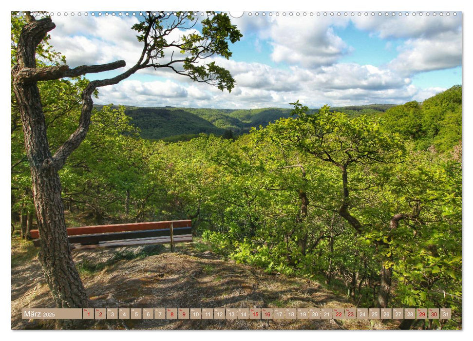 Der Wald - Ort der Ruhe und Besinnung (CALVENDO Wandkalender 2025)