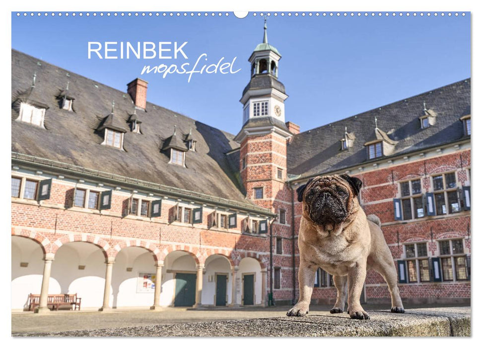 Reinbek mopsfidel (CALVENDO Wandkalender 2025)