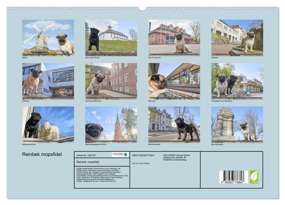 Reinbek mopsfidel (CALVENDO Premium Wandkalender 2025)