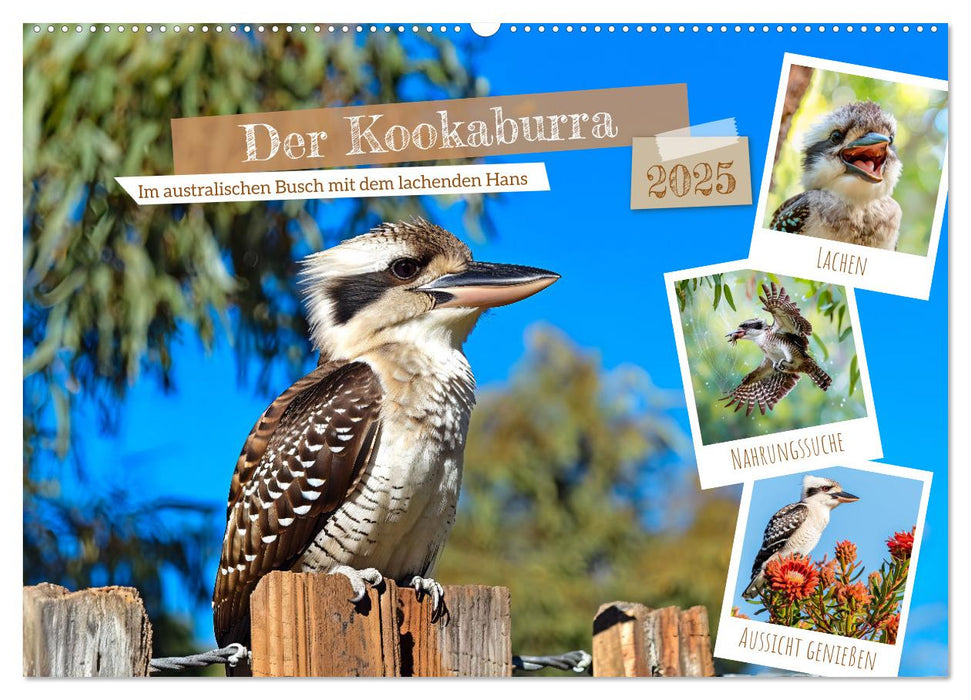 Der Kookaburra - Im australischen Busch mit dem lachenden Hans (CALVENDO Wandkalender 2025)