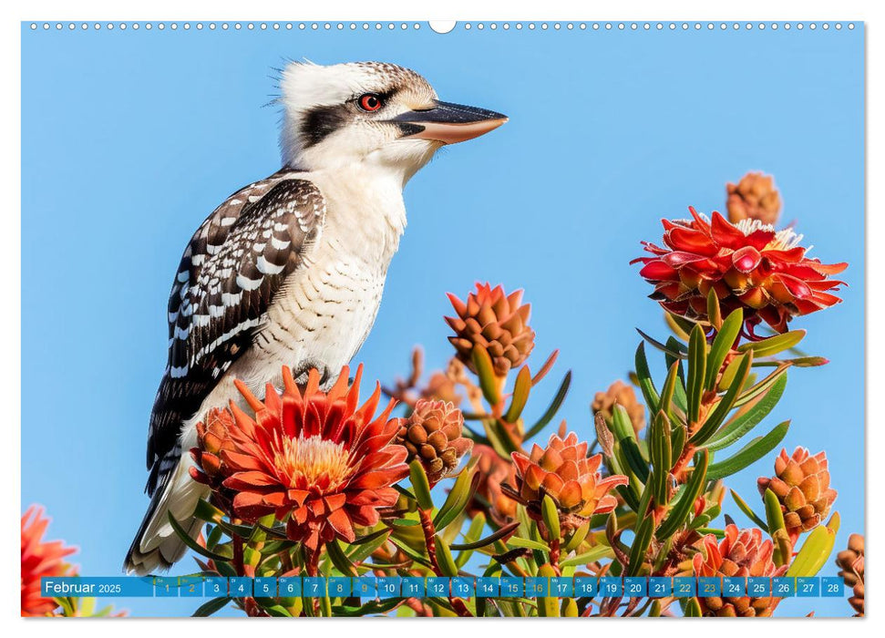 Der Kookaburra - Im australischen Busch mit dem lachenden Hans (CALVENDO Wandkalender 2025)