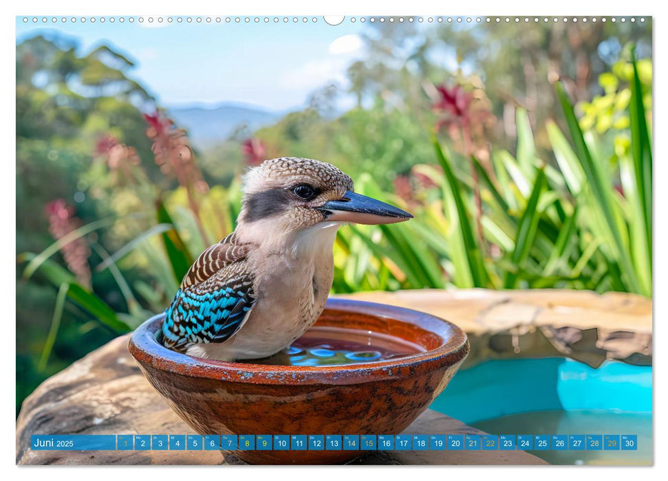 Der Kookaburra - Im australischen Busch mit dem lachenden Hans (CALVENDO Wandkalender 2025)