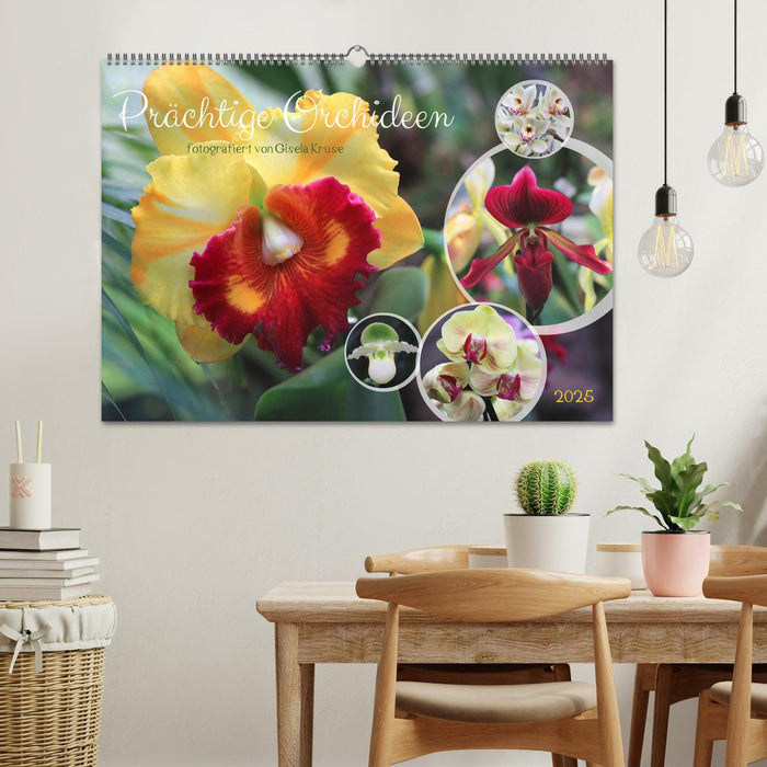 Prächtige Orchideen (CALVENDO Wandkalender 2025)