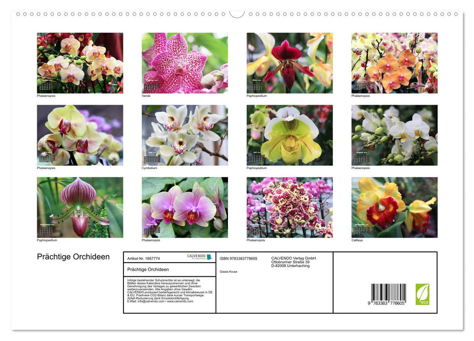 Prächtige Orchideen (CALVENDO Premium Wandkalender 2025)