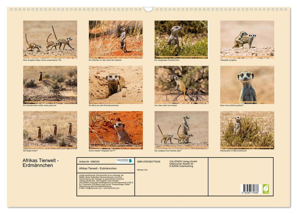 Afrikas Tierwelt - Erdmännchen (CALVENDO Wandkalender 2025)