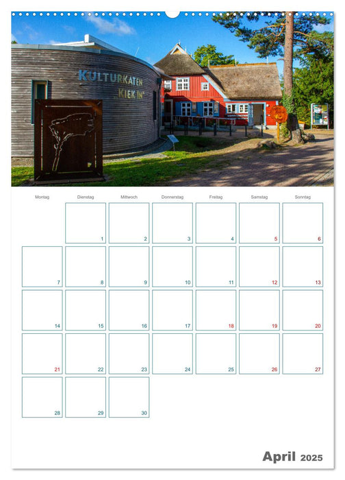 Ostseebad Prerow - Darßer Momente - Terminplaner (CALVENDO Wandkalender 2025)